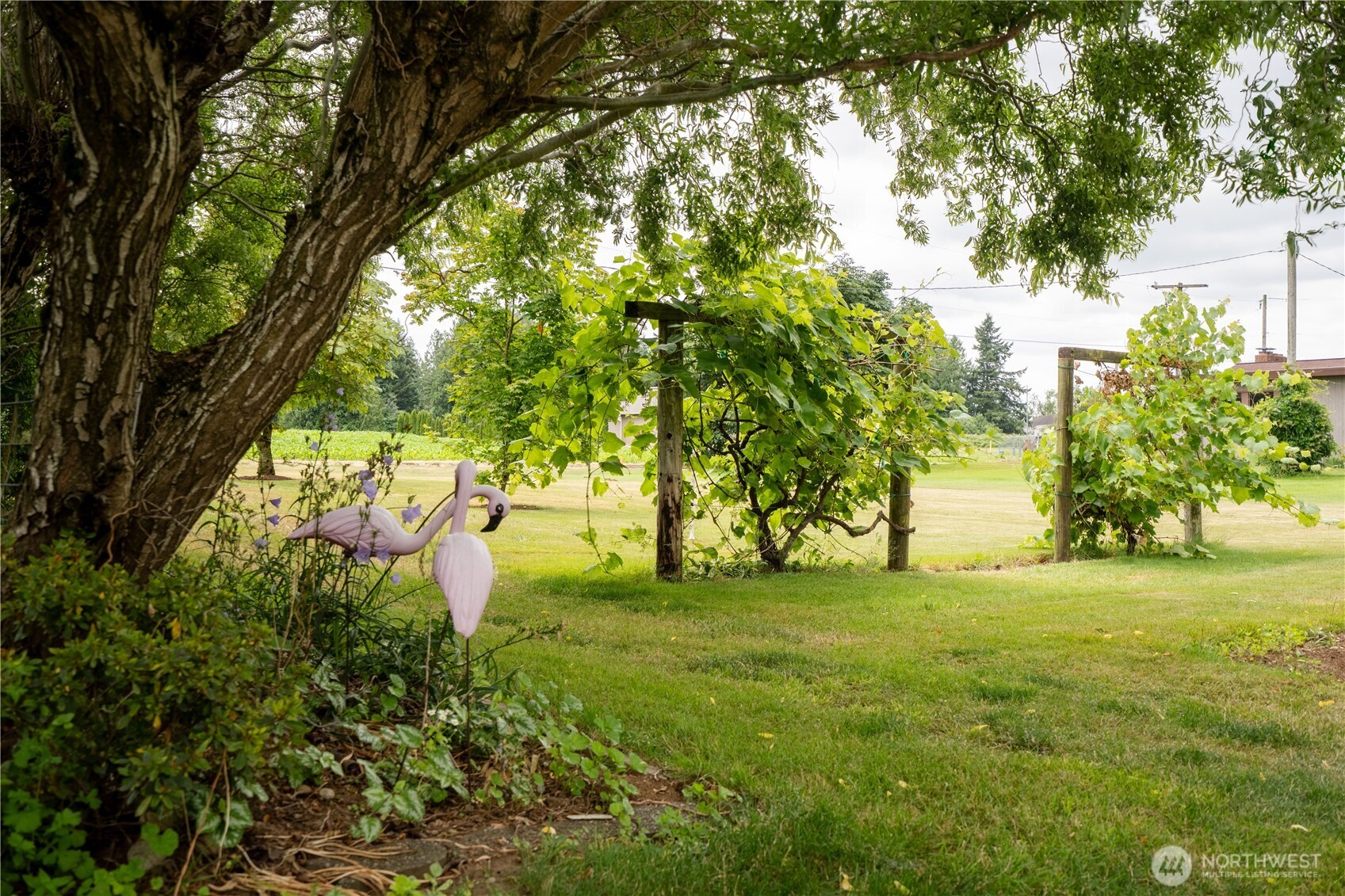 1724 Haveman Road Lynden, WA 98264 - Photo 34 of 39