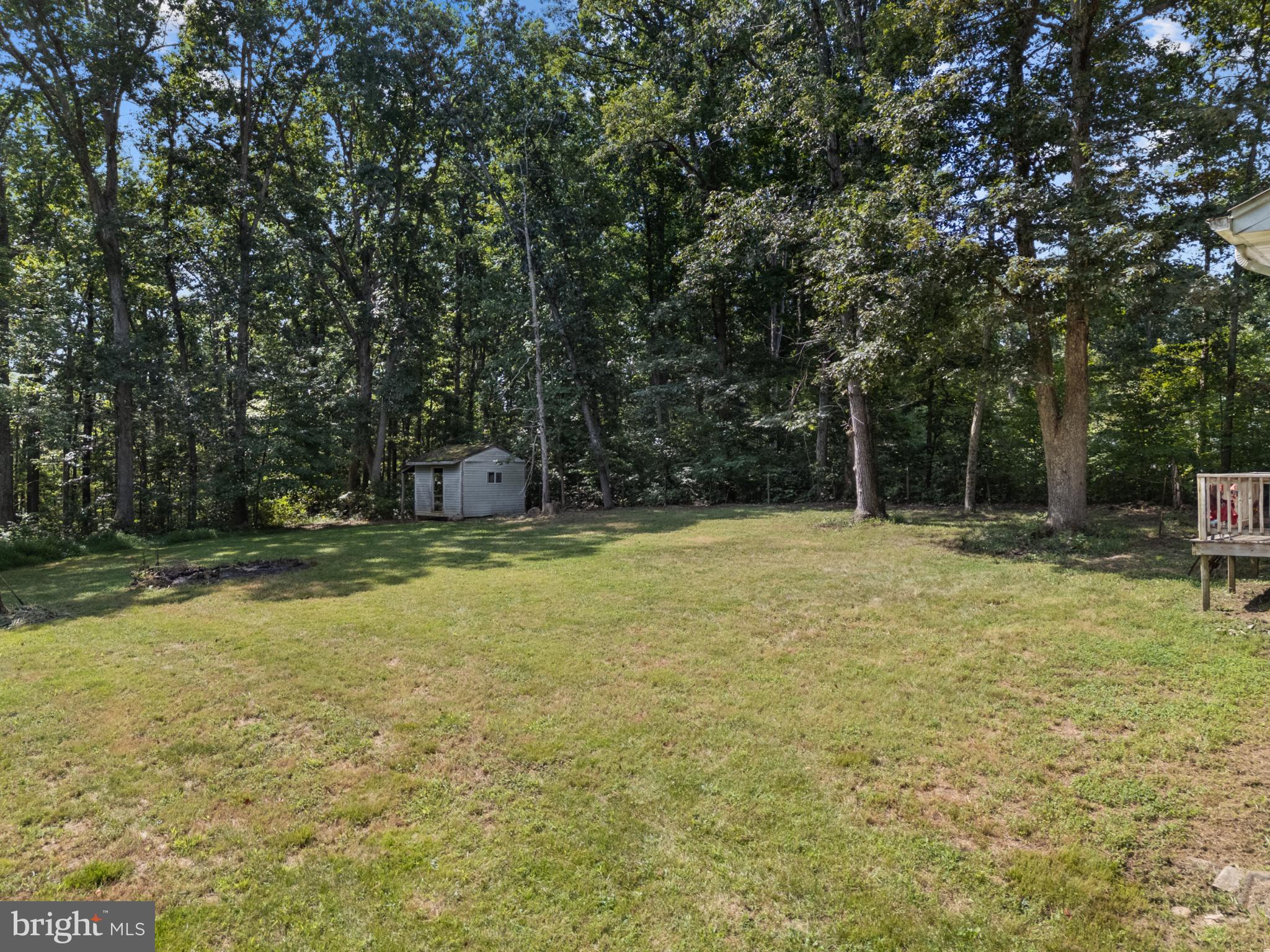 13175 Tower Road Unionville, VA 22567 - Photo 30 of 37 Serene backyard embraced by lush woods.