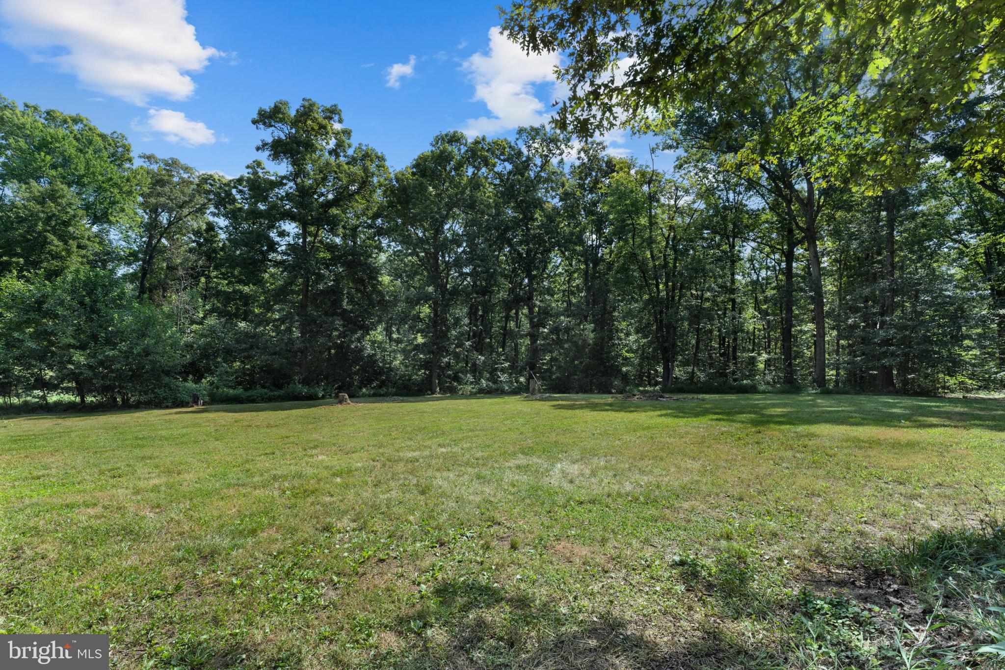 13175 Tower Road Unionville, VA 22567 - Photo 31 of 37 Serene green space bordered by lush trees.