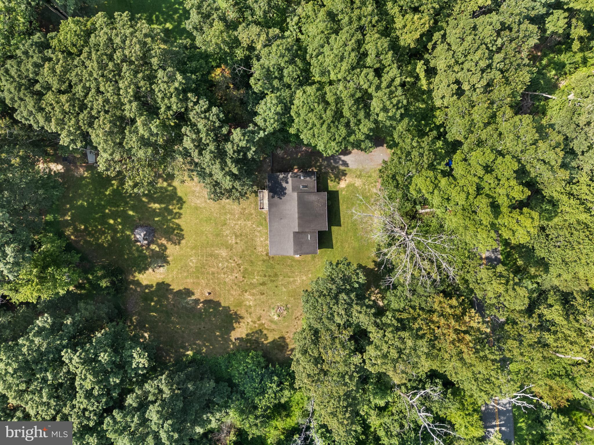 13175 Tower Road Unionville, VA 22567 - Photo 36 of 37 Secluded retreat embraced by lush greenery.