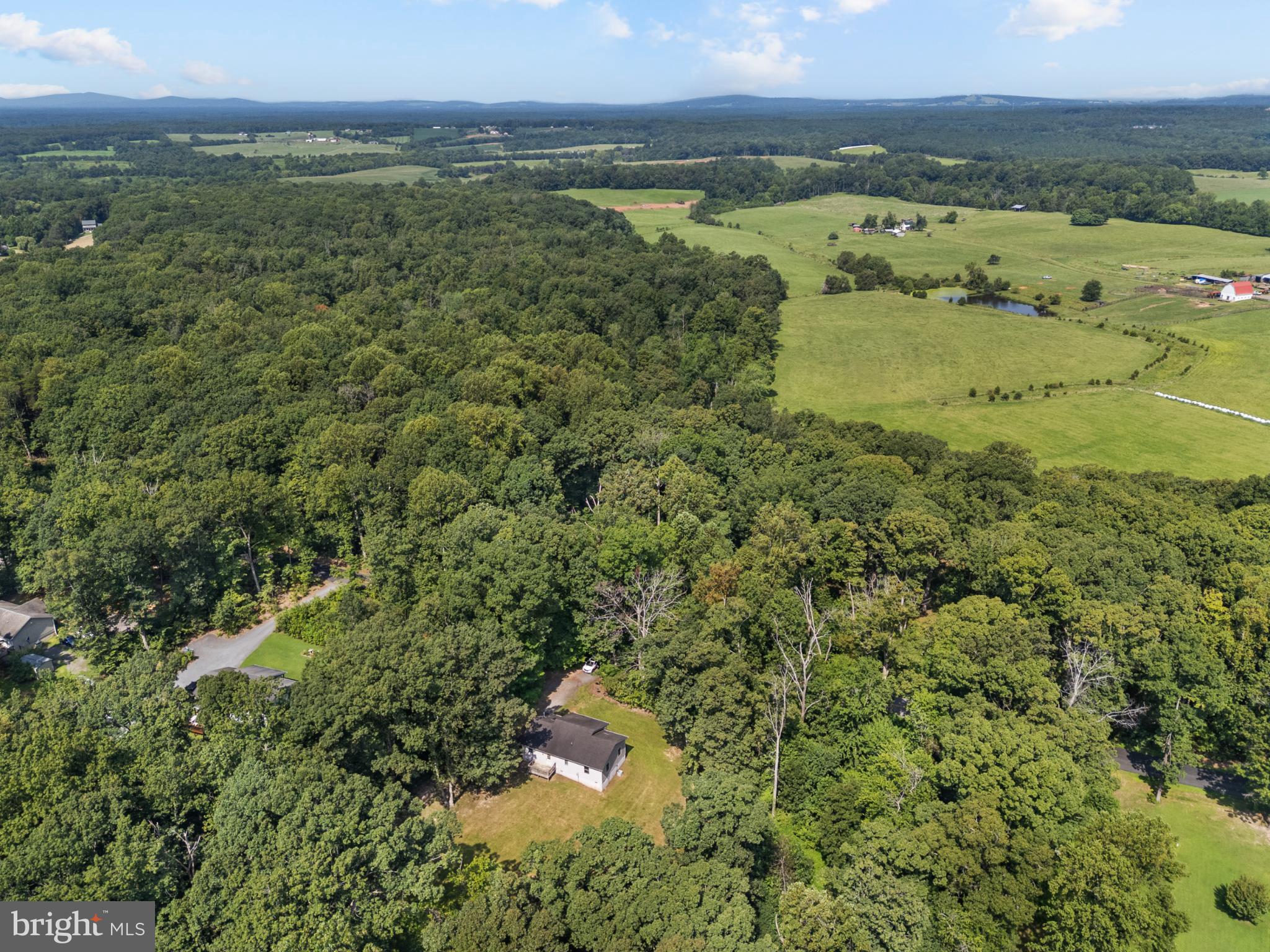 13175 Tower Road Unionville, VA 22567 - Photo 37 of 37 Serene countryside retreat amidst lush greenery.