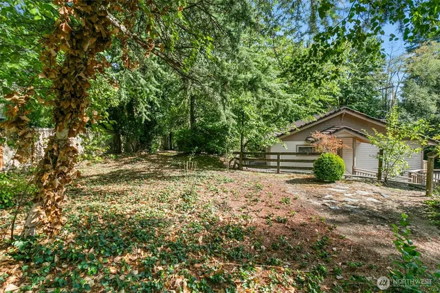 a view of a big yard with plants and large trees