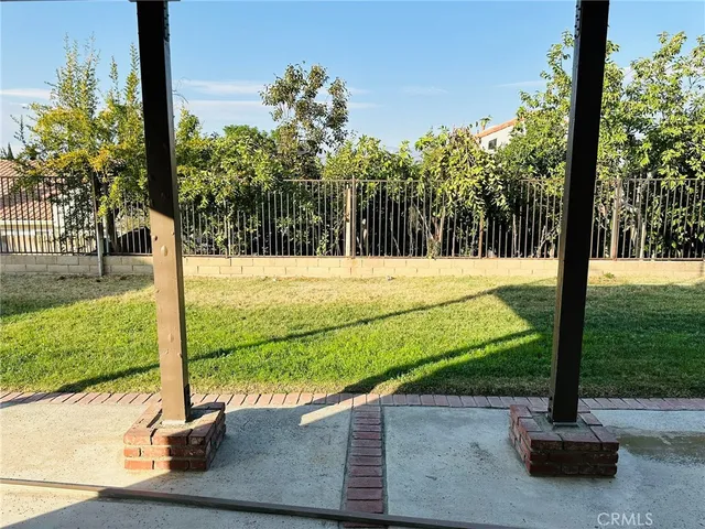 a view of a park with tall trees