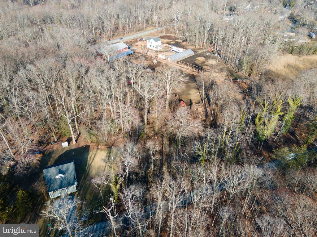 Oak Lane Edgewater, MD 21037 - Photo 13 of 18 a view of a yard with trees
