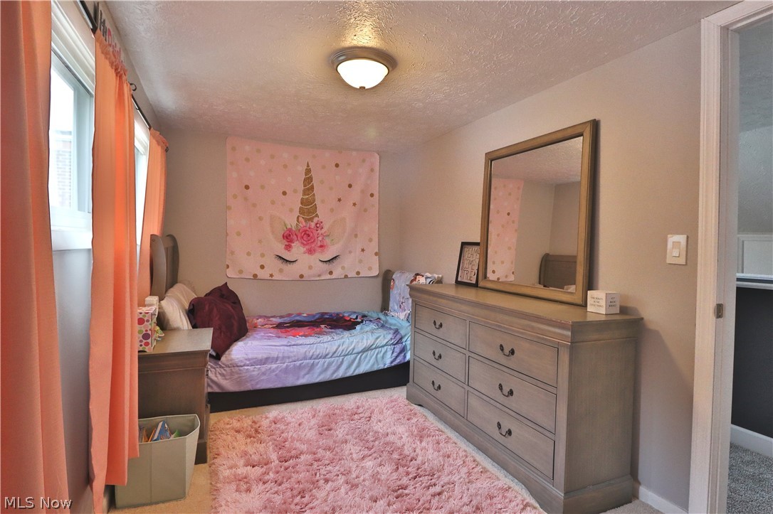 18 Everett Road Painesville, OH 44077 - Photo 20 of 26 Gallery Image 20