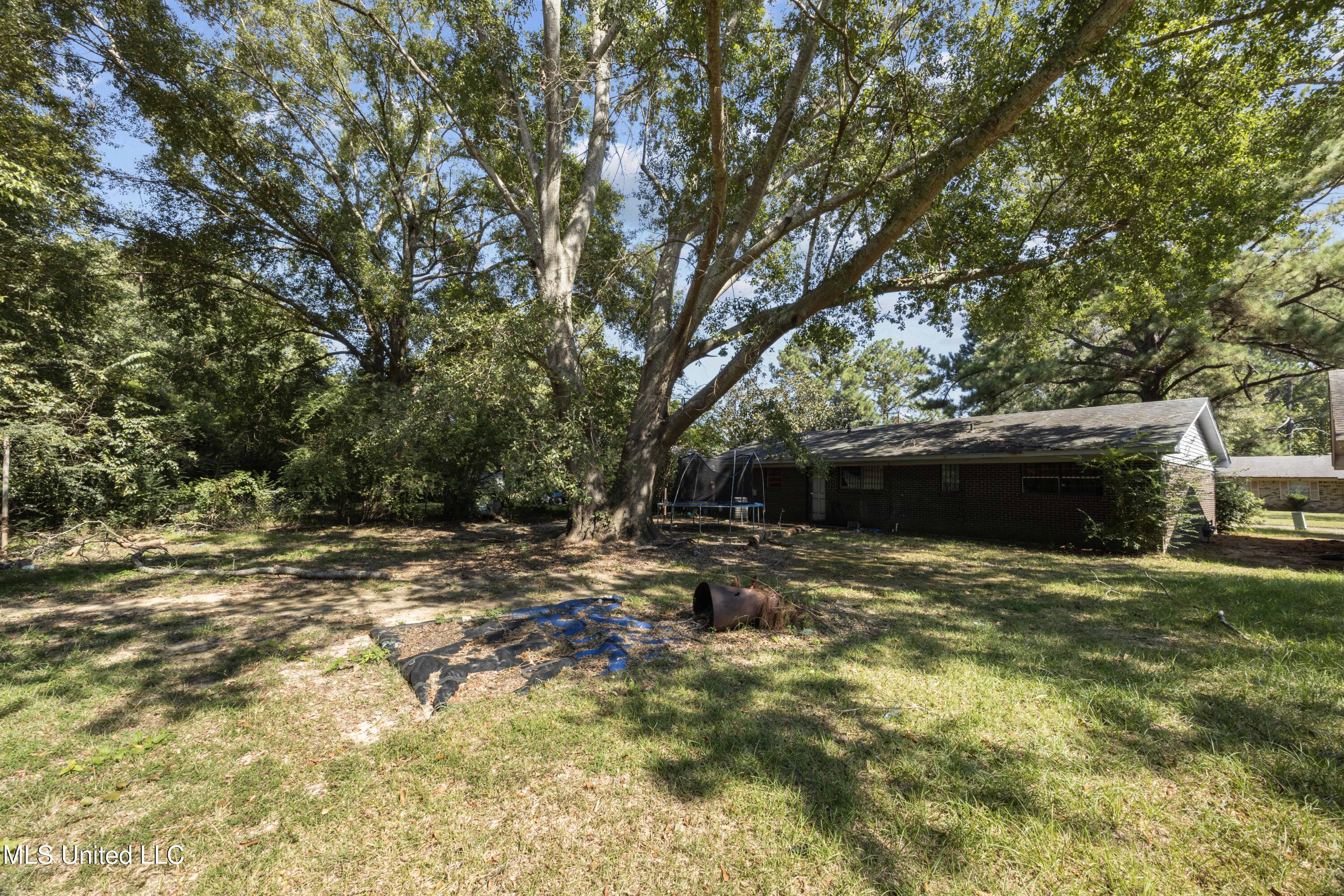 381 James Garfield Circle Jackson, MS 39213 - Photo 4 of 4 EOSR0286