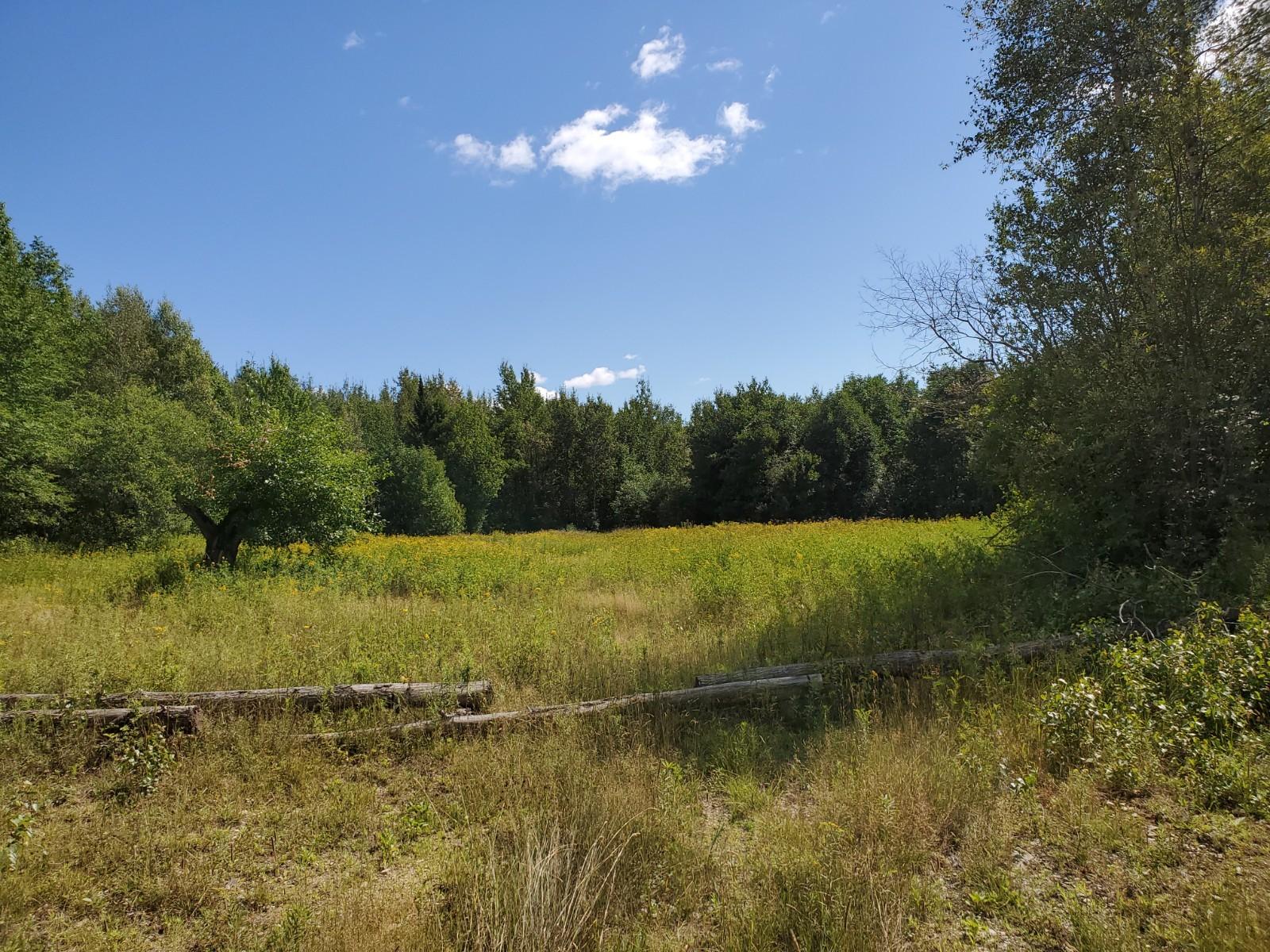 2 Lowell Road Carroll Plt, ME 04487 - Photo 2 of 13 20200817_141716