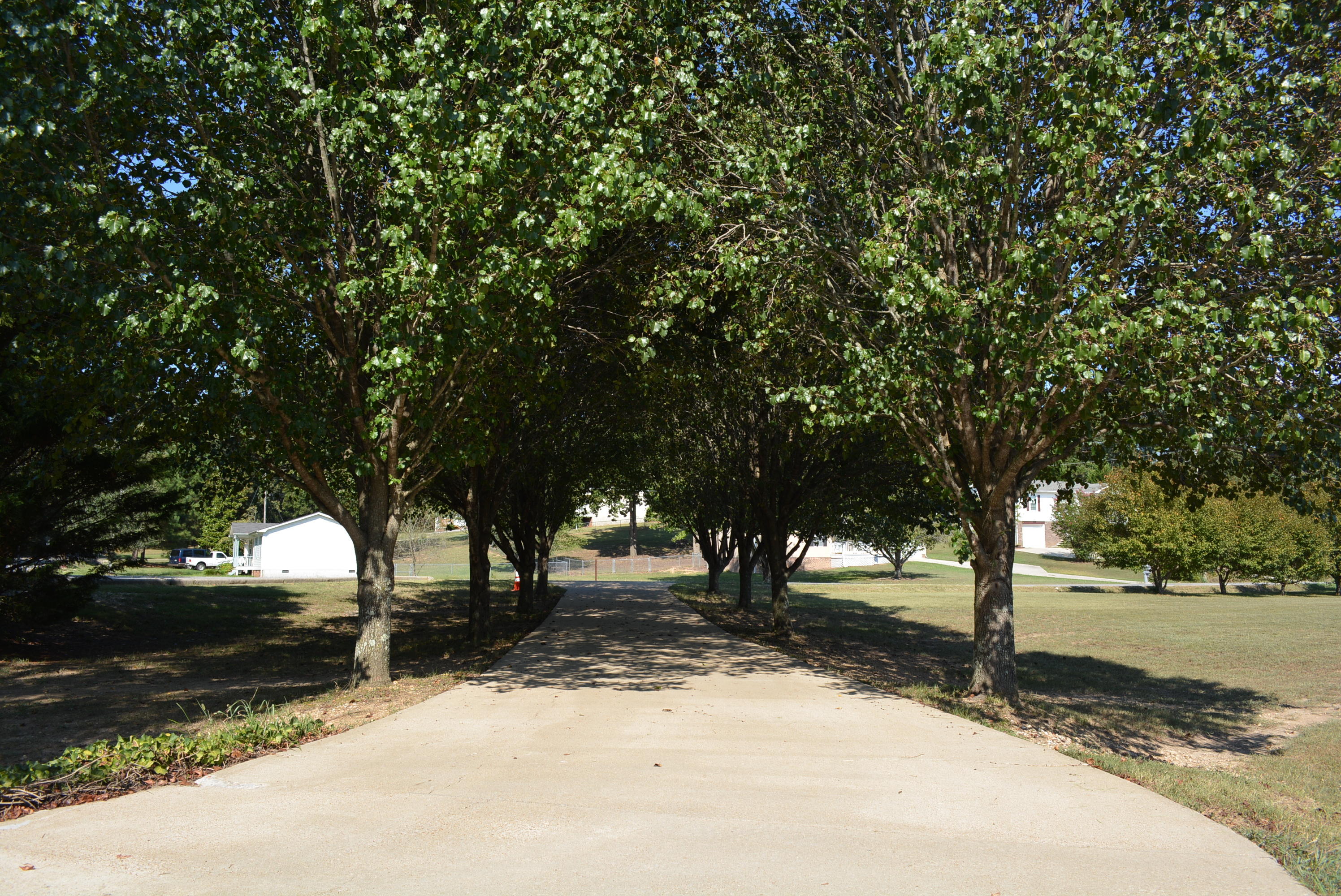 7806 Grasshopper Road Georgetown, TN 37336 - Photo 49 of 99 Grasshopper Rd 002