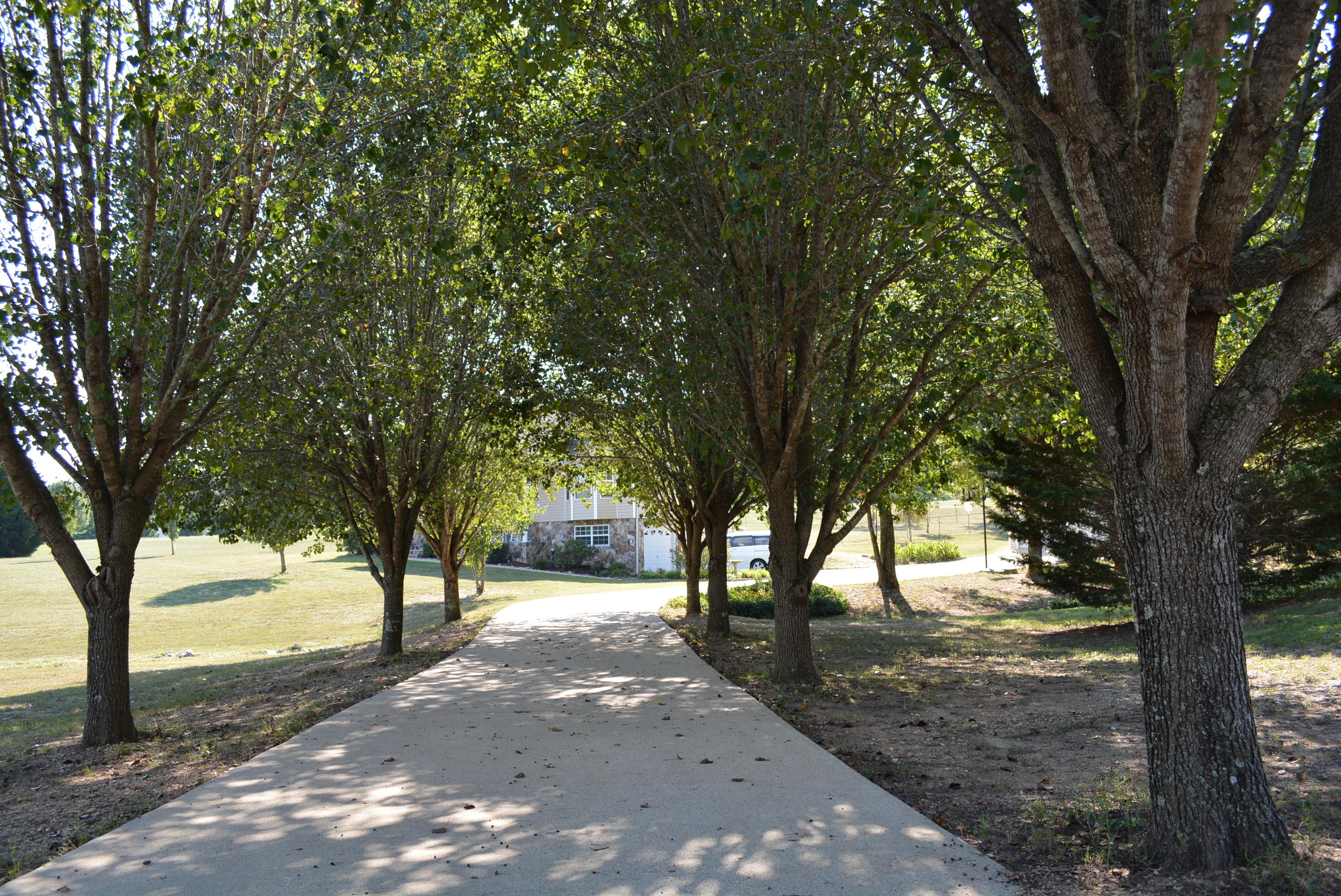 7806 Grasshopper Road Georgetown, TN 37336 - Photo 50 of 99 Grasshopper Rd 010