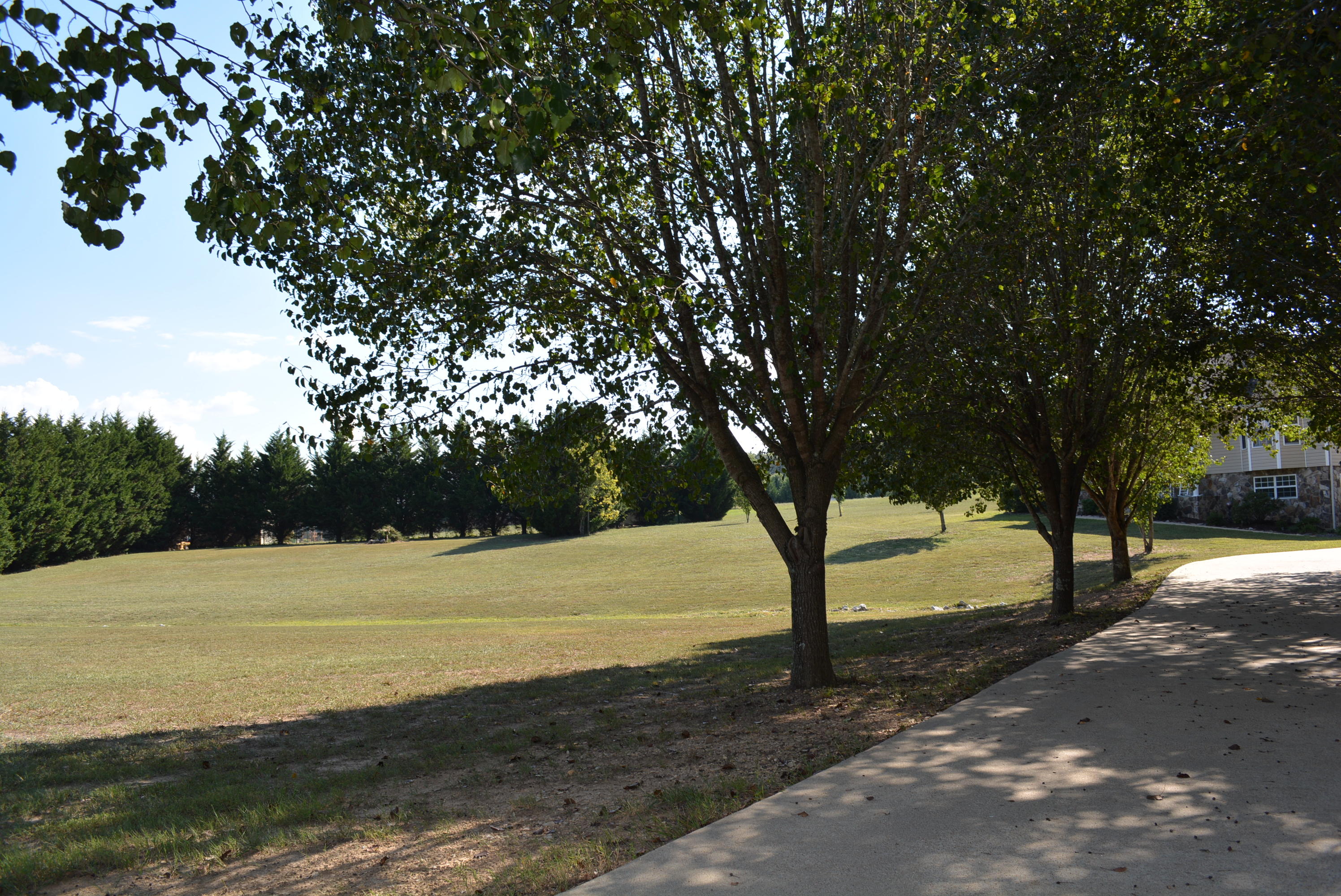 7806 Grasshopper Road Georgetown, TN 37336 - Photo 51 of 99 Grasshopper Rd 012
