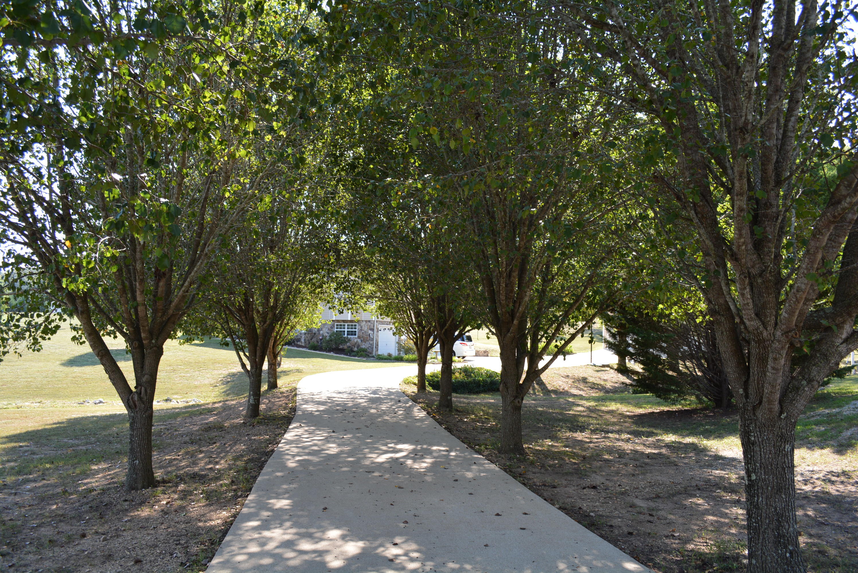 7806 Grasshopper Road Georgetown, TN 37336 - Photo 53 of 99 Grasshopper Rd 009
