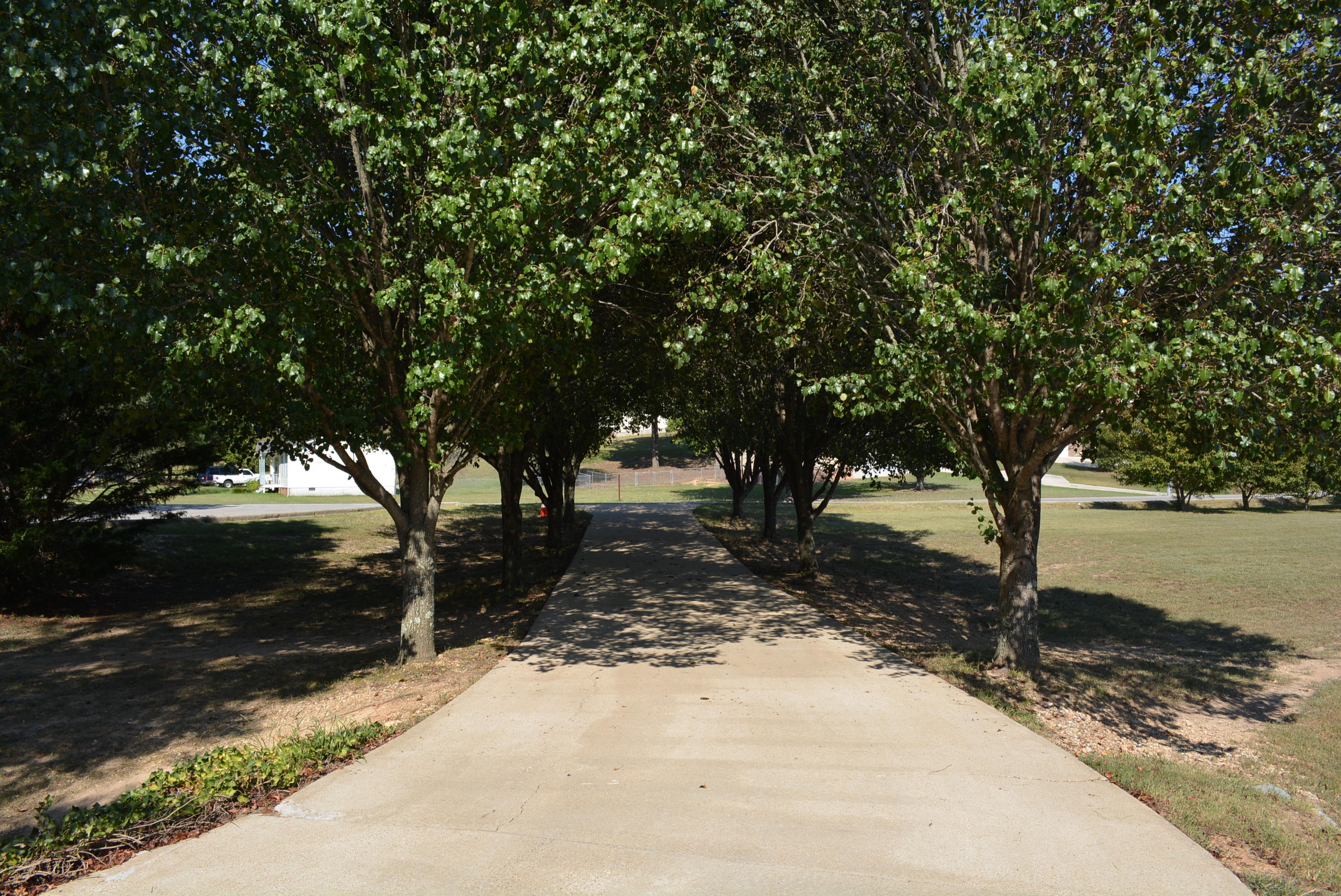7806 Grasshopper Road Georgetown, TN 37336 - Photo 54 of 99 Grasshopper Rd 001