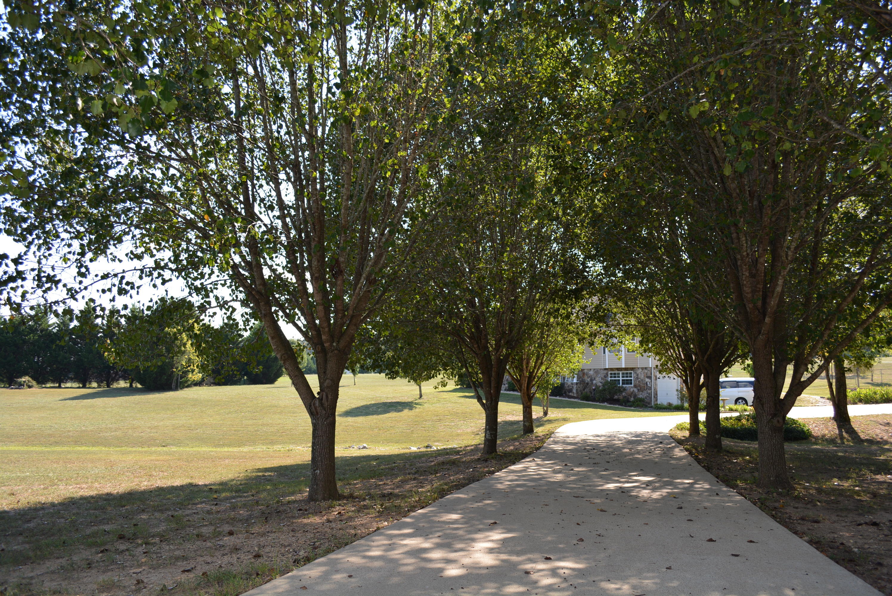7806 Grasshopper Road Georgetown, TN 37336 - Photo 55 of 99 Grasshopper Rd 011