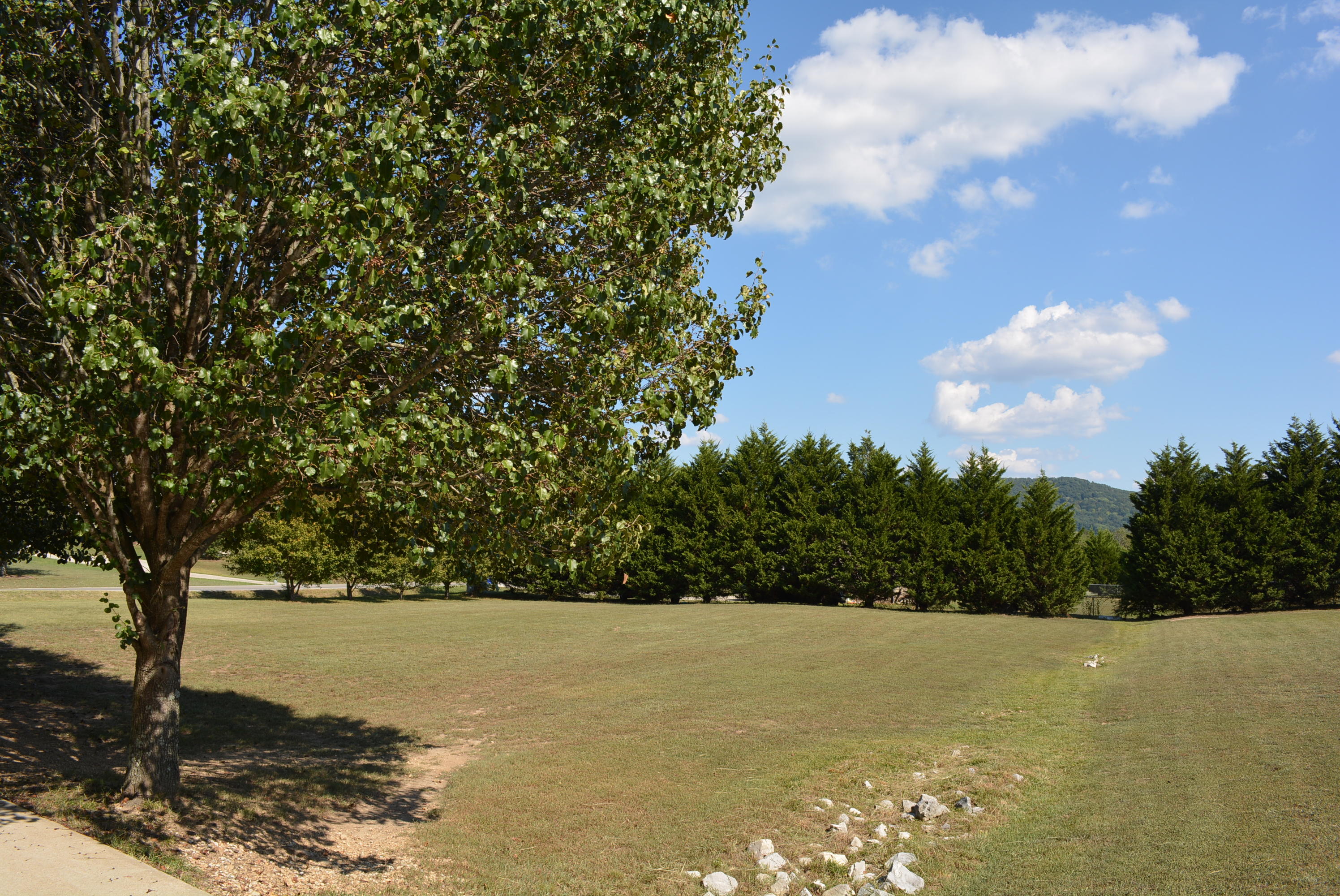 7806 Grasshopper Road Georgetown, TN 37336 - Photo 56 of 99 Grasshopper Rd 003