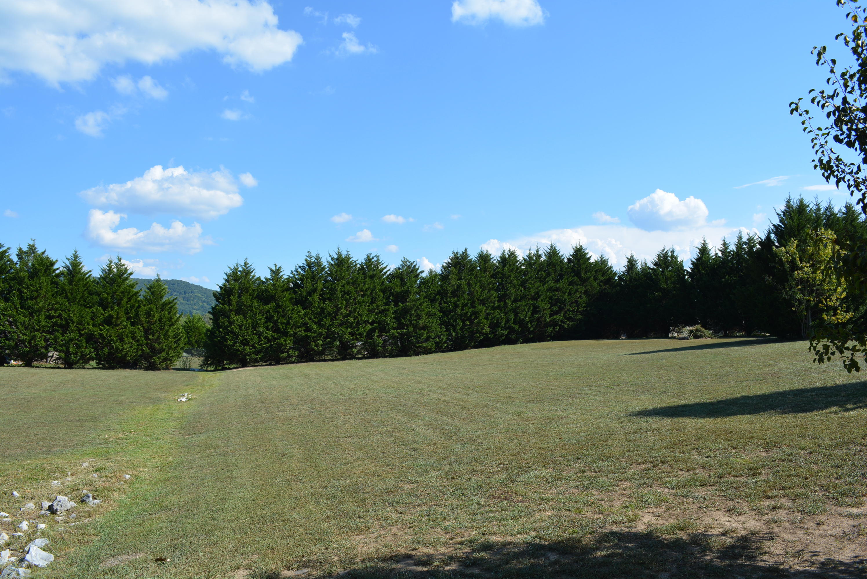 7806 Grasshopper Road Georgetown, TN 37336 - Photo 57 of 99 Grasshopper Rd 004