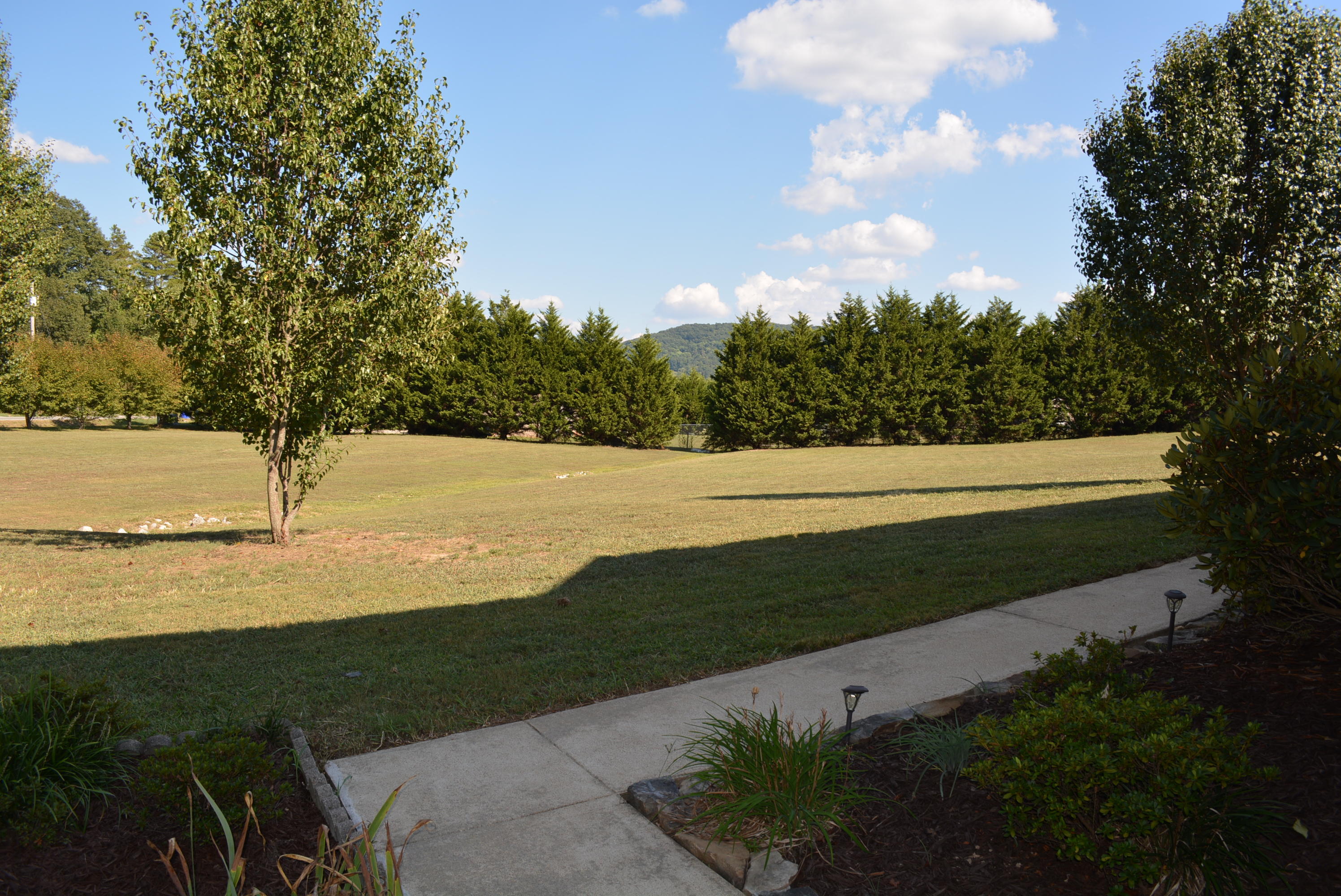 7806 Grasshopper Road Georgetown, TN 37336 - Photo 82 of 99 Grasshopper Rd 035