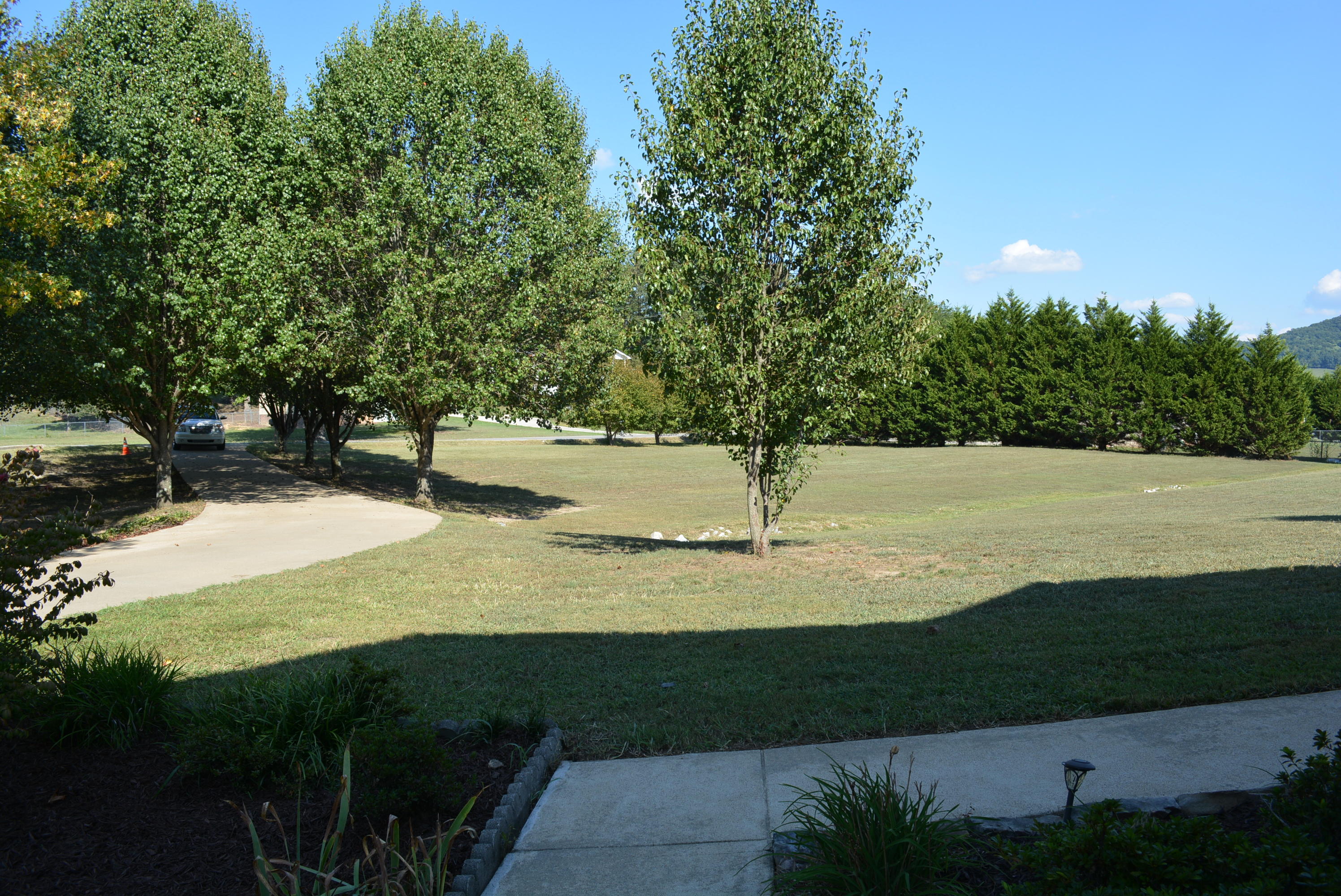 7806 Grasshopper Road Georgetown, TN 37336 - Photo 83 of 99 Grasshopper Rd 036