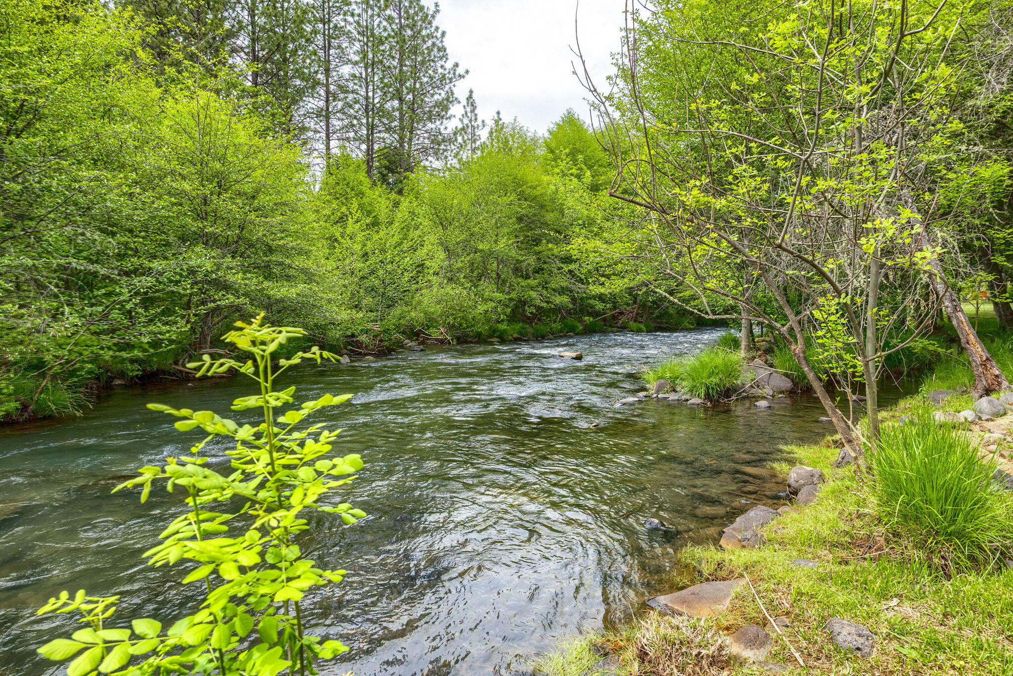 1250 Netherlands Road Trail, OR 97541 - Photo 2 of 50 2-Creek