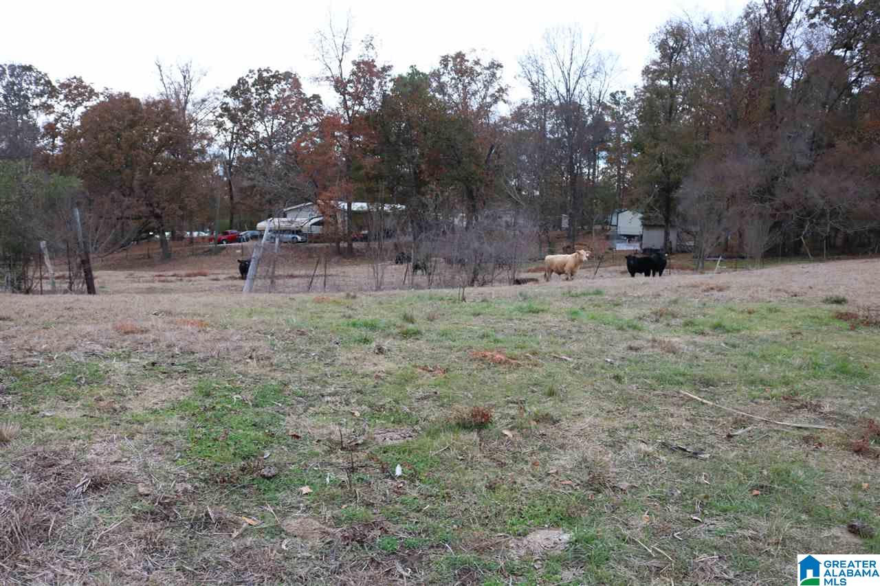 6763 G & H Road Bessemer, AL 35022 - Photo 19 of 21