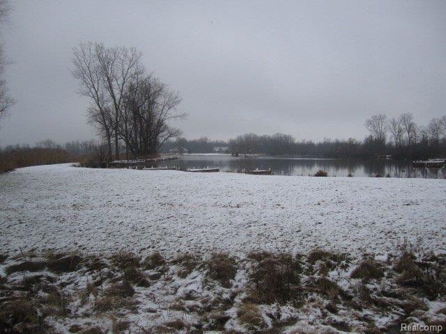 79775 Tory Circle Romeo, MI 48065 - Photo 17 of 22 View of Lake Arianna off Erins W