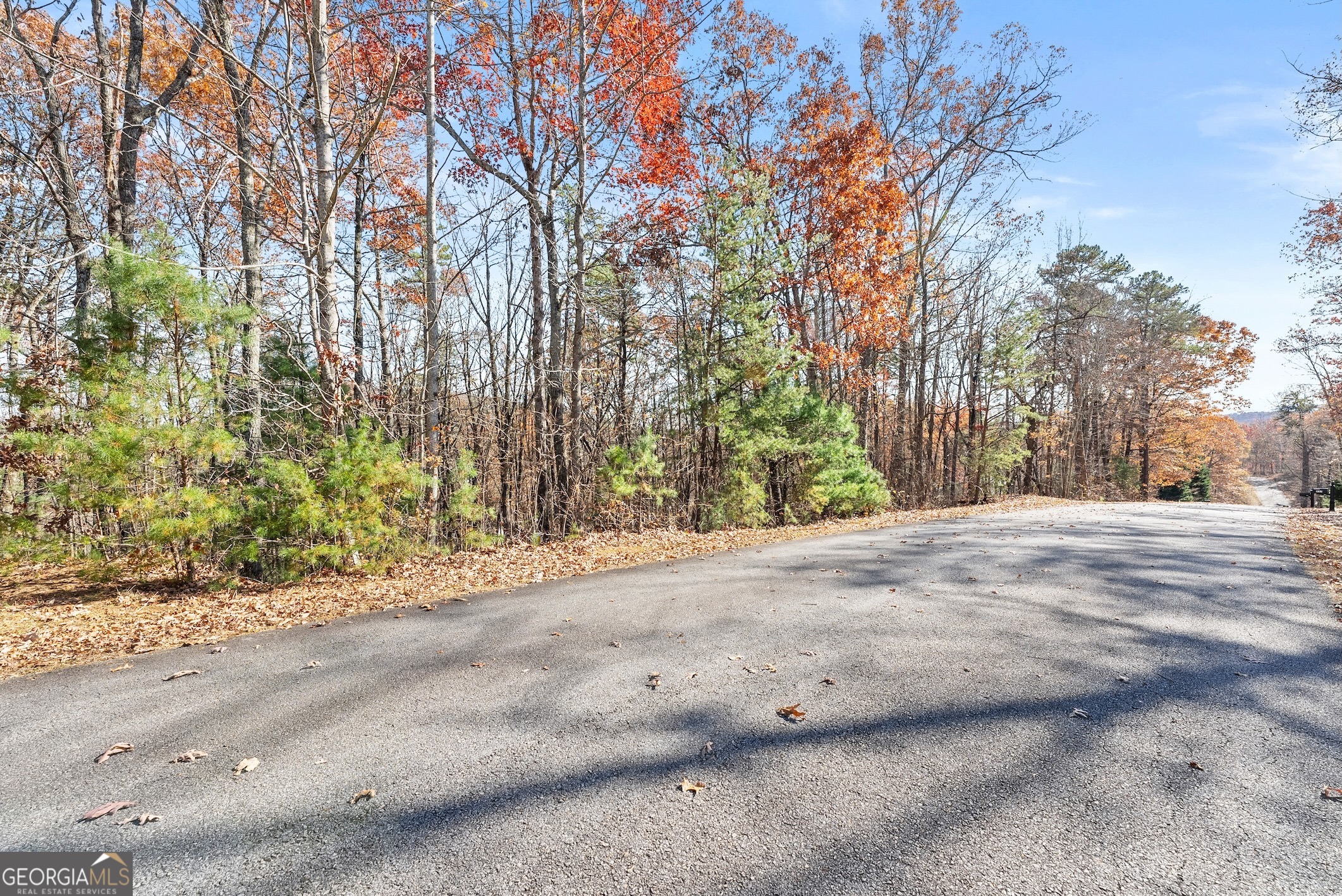 Lot 26-27 Spring Crest Road Cleveland, GA 30528 - Photo 1 of 1 a view of road and trees