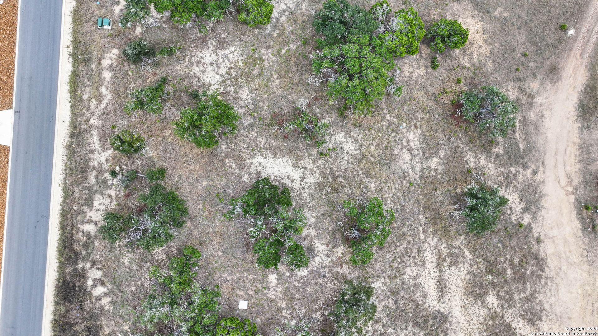 755 Maximino Ridge Bulverde, TX 78163 - Photo 10 of 14 a view of a yard with plants and a bench
