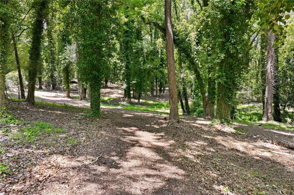 1403 Springdale Road Gainesville, GA 30501 - Photo 11 of 82
