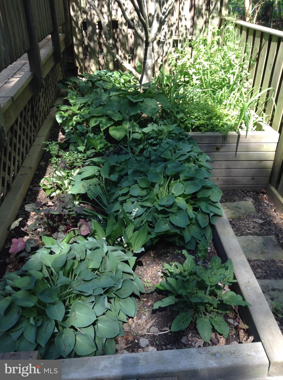 11854 South Lakes Court Reston, VA 20191 - Photo 22 of 29