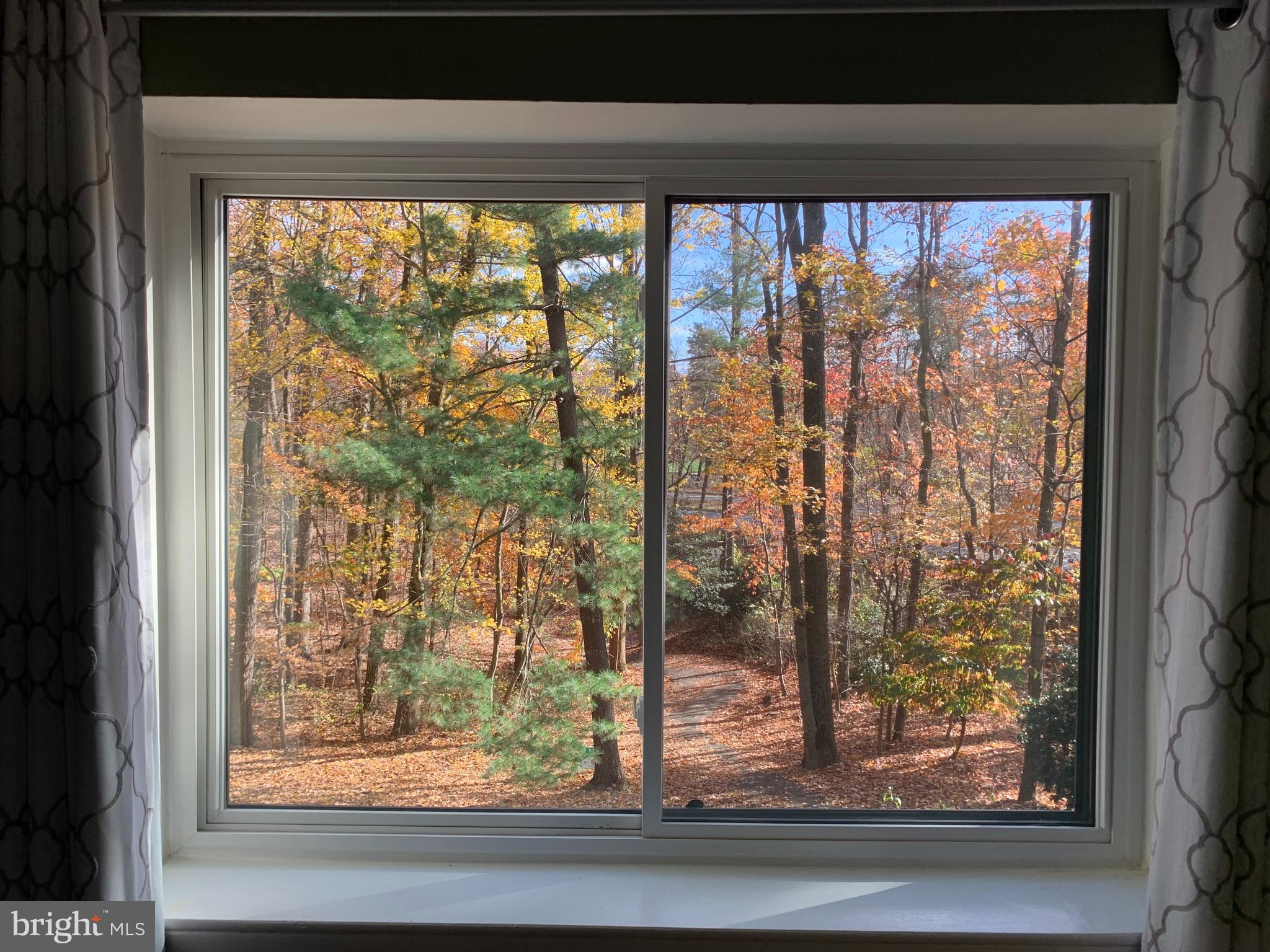 11854 South Lakes Court Reston, VA 20191 - Photo 10 of 29