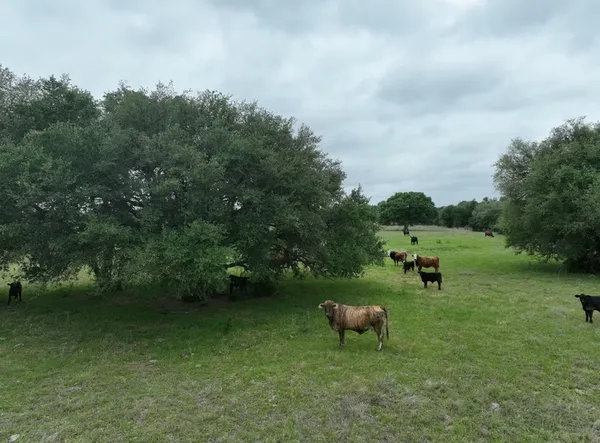 a view of a backyard with lawn furniture and a fire pit