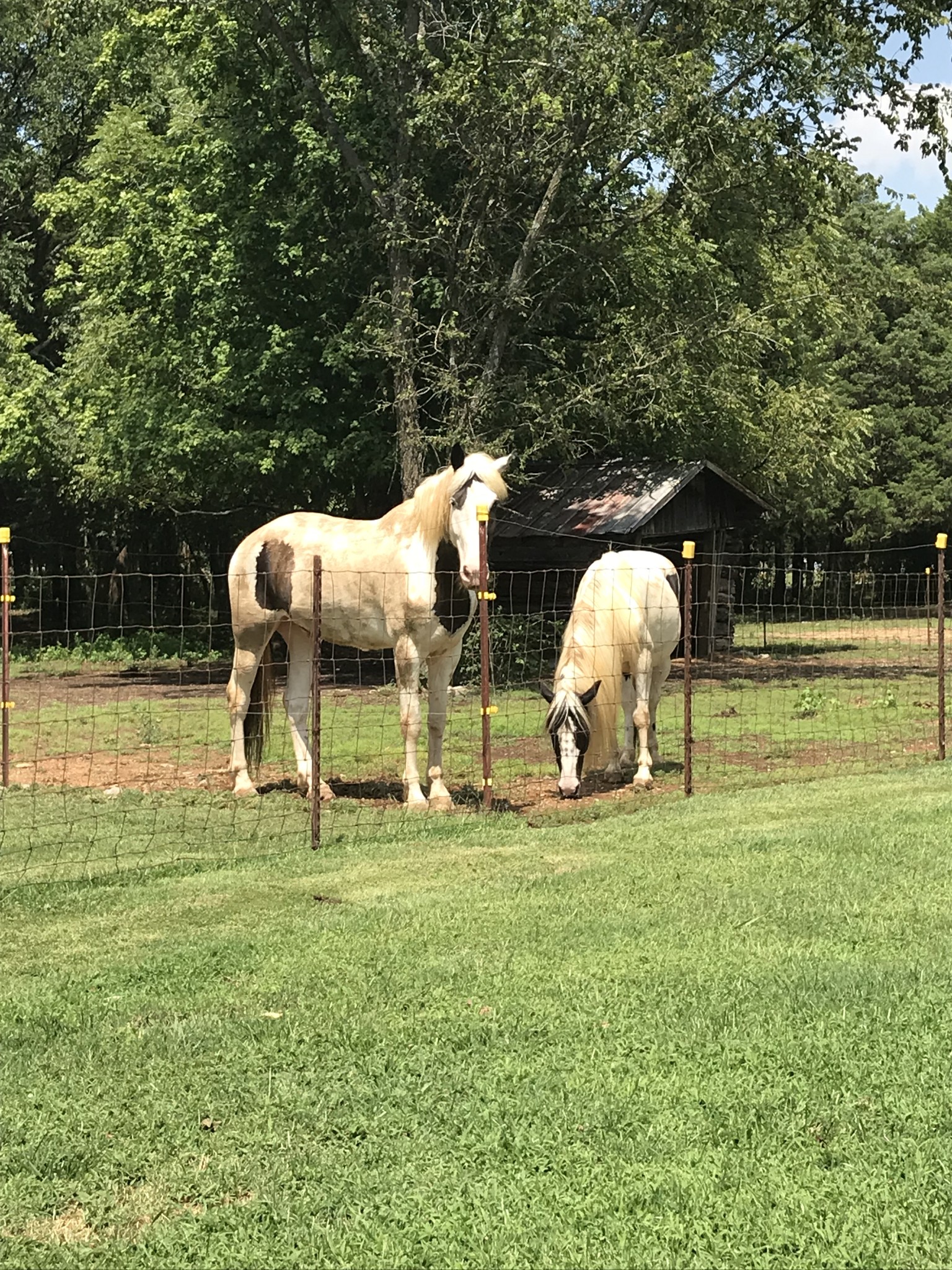 2840 Franklin Road Lebanon, TN 37090 - Photo 10 of 26