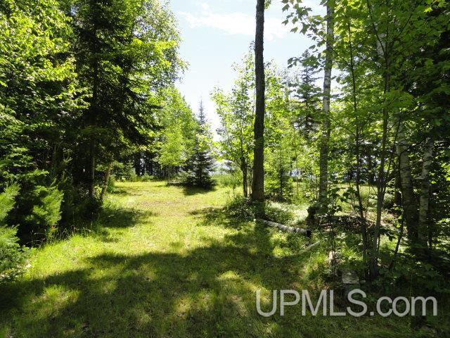 Tbd Puuri Road Baraga, MI 49908 - Photo 13 of 20
