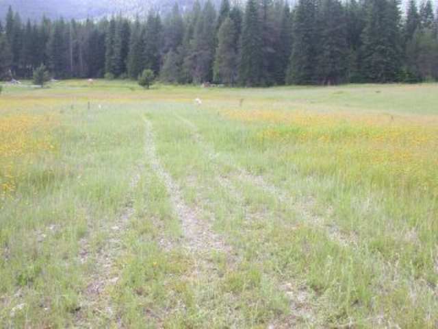 0 North Leclerc Creek Road Cusick, WA 99119 - Photo 4 of 4