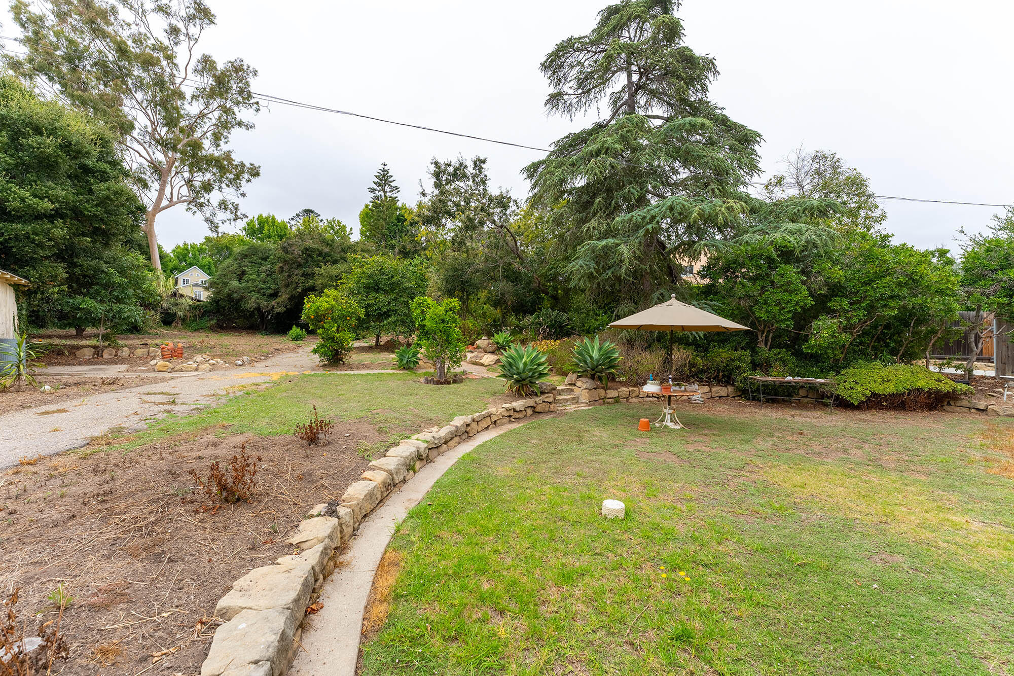 321 East Islay Street Santa Barbara, CA 93101 - Photo 17 of 27 Yard and driveway - 321 E Islay St 93101
