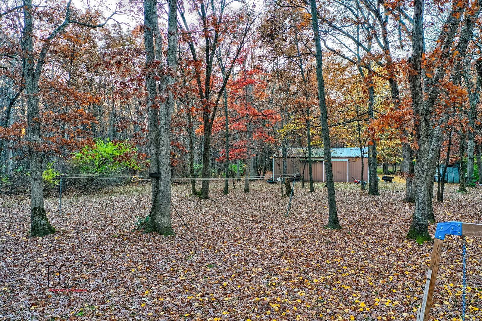 2863 East 2575th Road Marseilles, IL 61341 - Photo 11 of 37 a view of outdoor space with trees