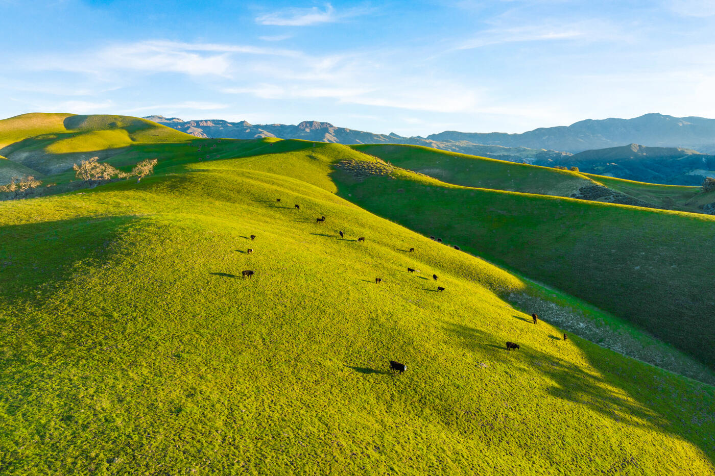 7351 Happy Canyon Road Santa Ynez, CA 93460 - Photo 34 of 48 Circle K Ranch MLS 34