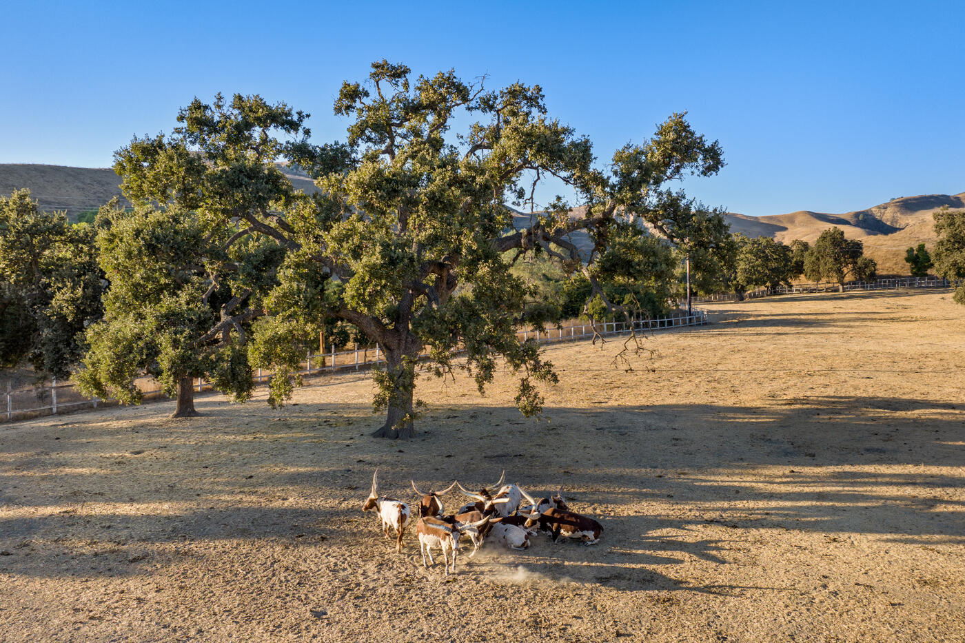 7351 Happy Canyon Road Santa Ynez, CA 93460 - Photo 35 of 48 a view of a yard with a tree