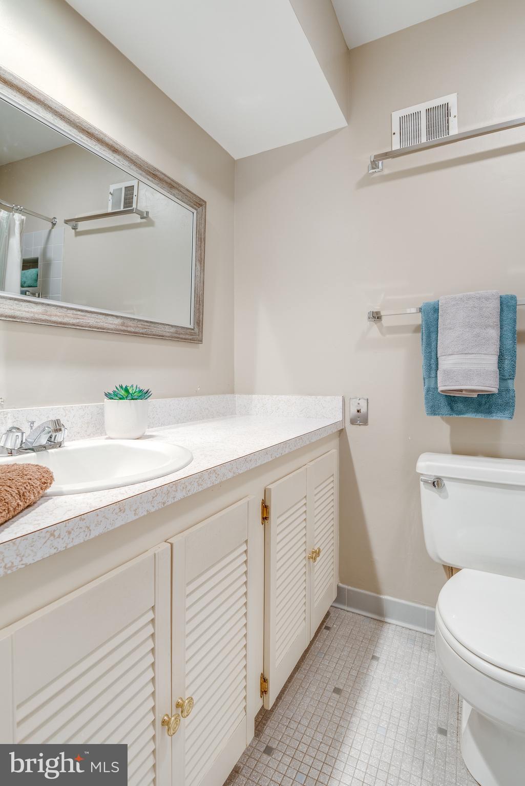 2402 Black Cap Lane Reston, VA 20191 - Photo 18 of 30 Full MBA w/tub & ceramic tile floors