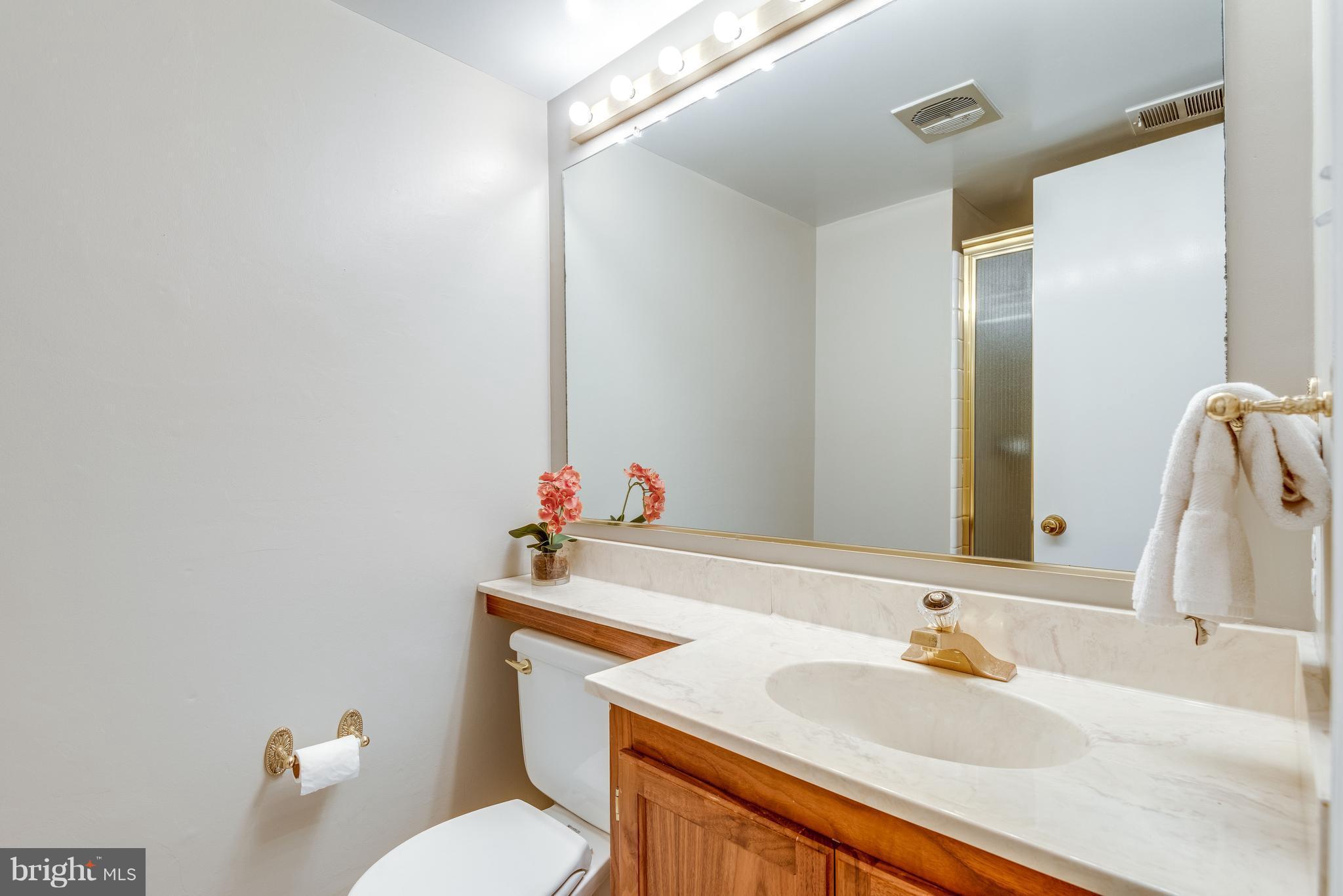 2402 Black Cap Lane Reston, VA 20191 - Photo 20 of 30 Family Rm Level full Bathroom w/Shower Stall