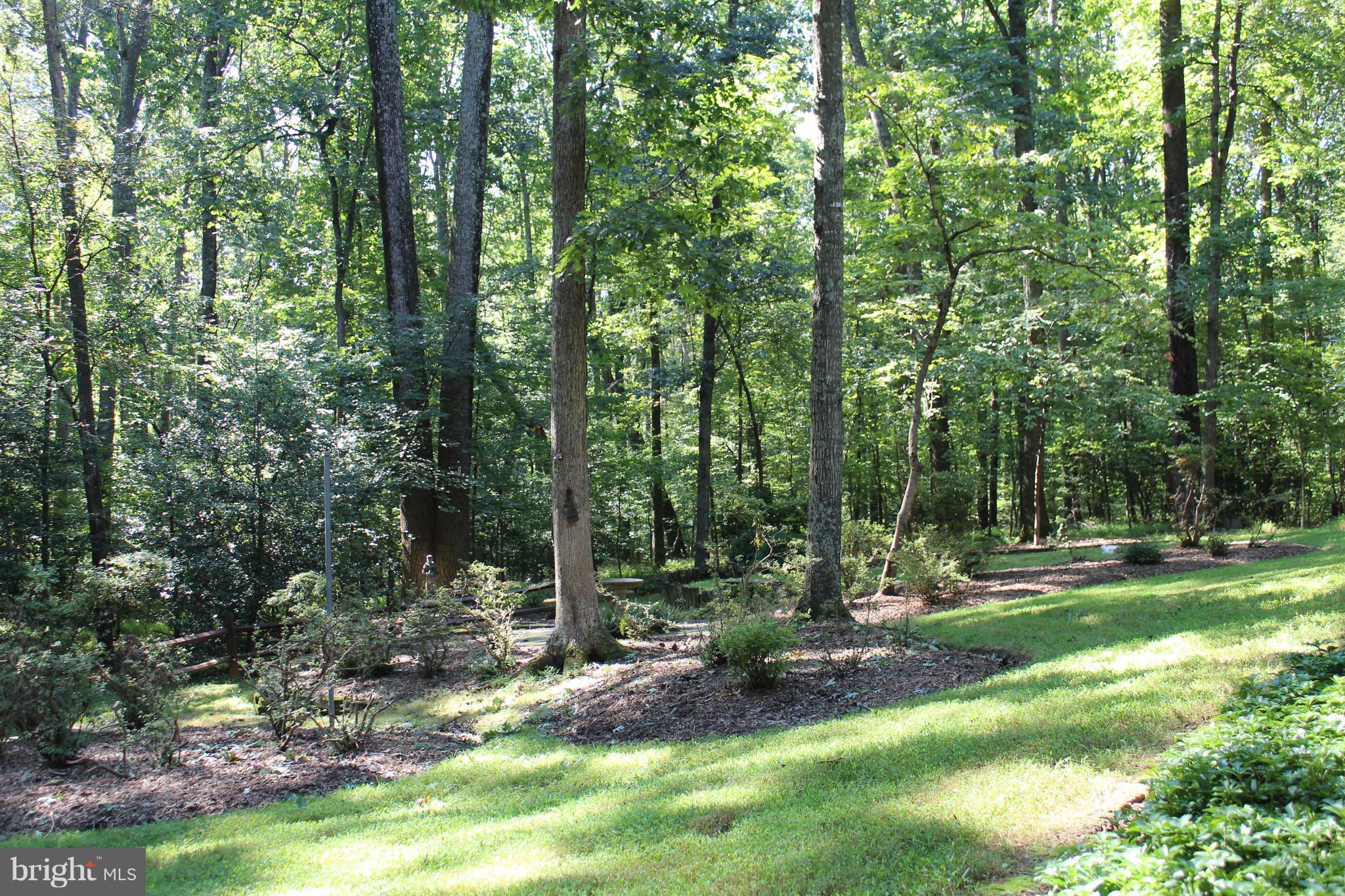 2402 Black Cap Lane Reston, VA 20191 - Photo 29 of 30 Rear Landscaping & Private Woodland Views