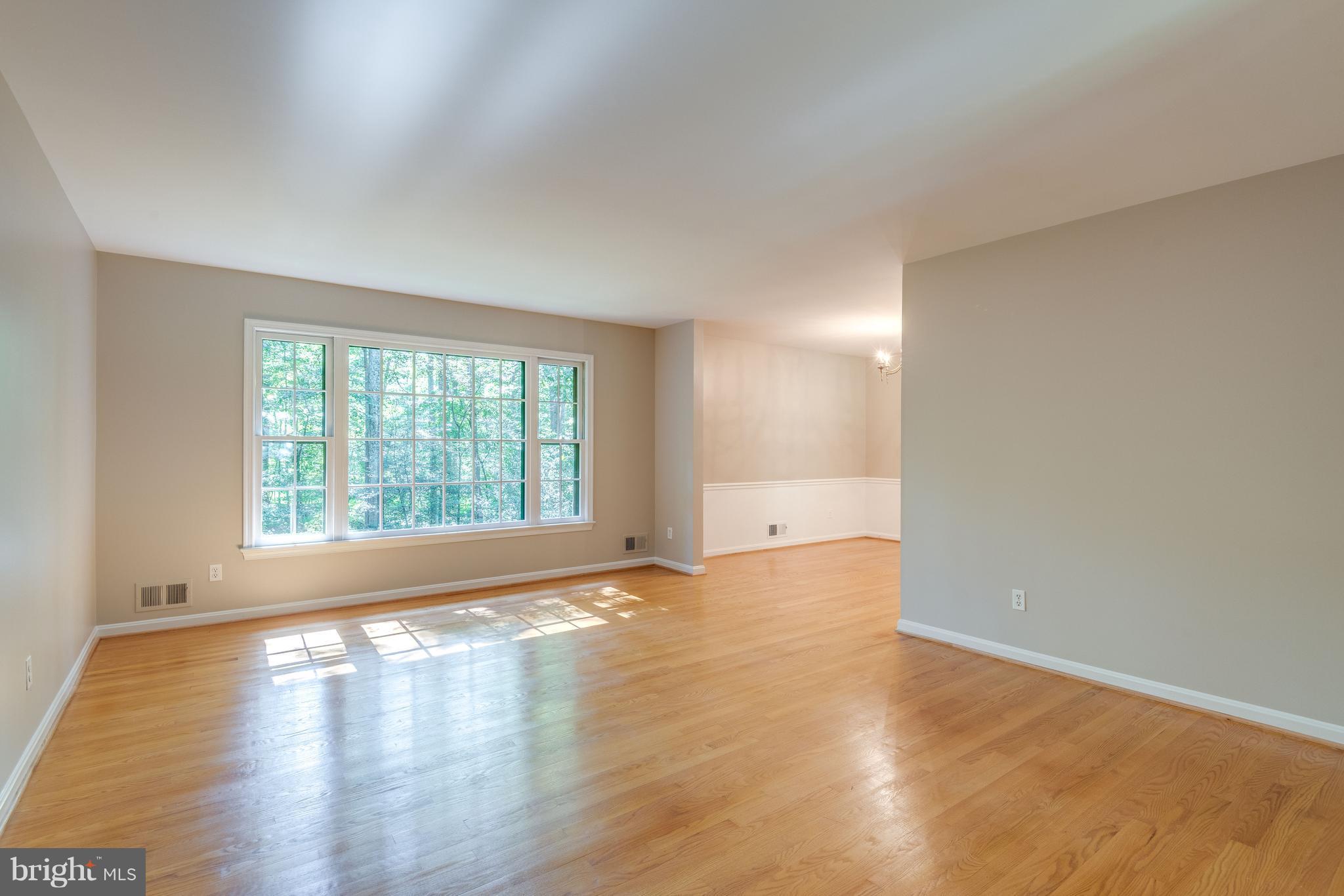 2402 Black Cap Lane Reston, VA 20191 - Photo 5 of 30 Spacious Living Room with view of mature woodlands