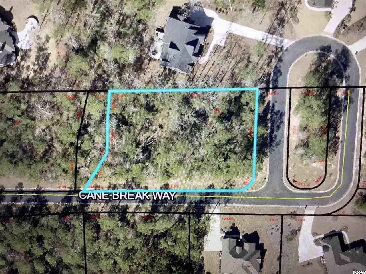 19 Cane Break Way Murrells Inlet, SC 29576 - Photo 1 of 24 Gallery Image 1