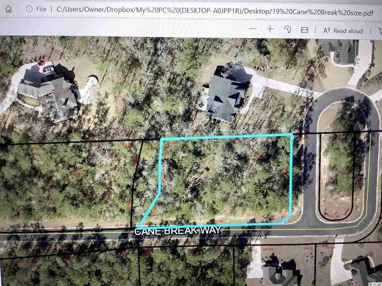19 Cane Break Way Murrells Inlet, SC 29576 - Photo 3 of 24 Gallery Image 3