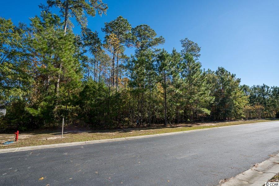 19 Cane Break Way Murrells Inlet, SC 29576 - Photo 4 of 24 Gallery Image 4