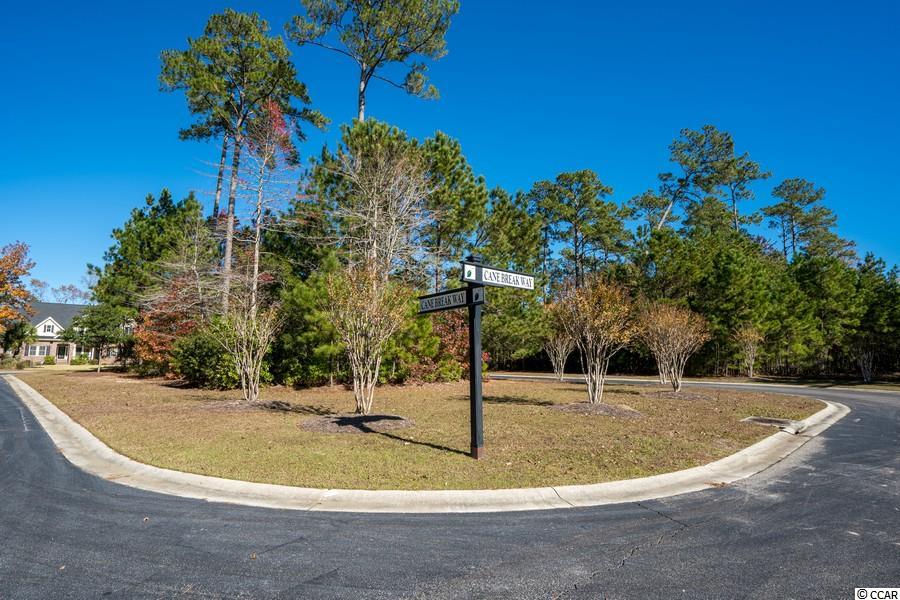 19 Cane Break Way Murrells Inlet, SC 29576 - Photo 5 of 24 Gallery Image 5