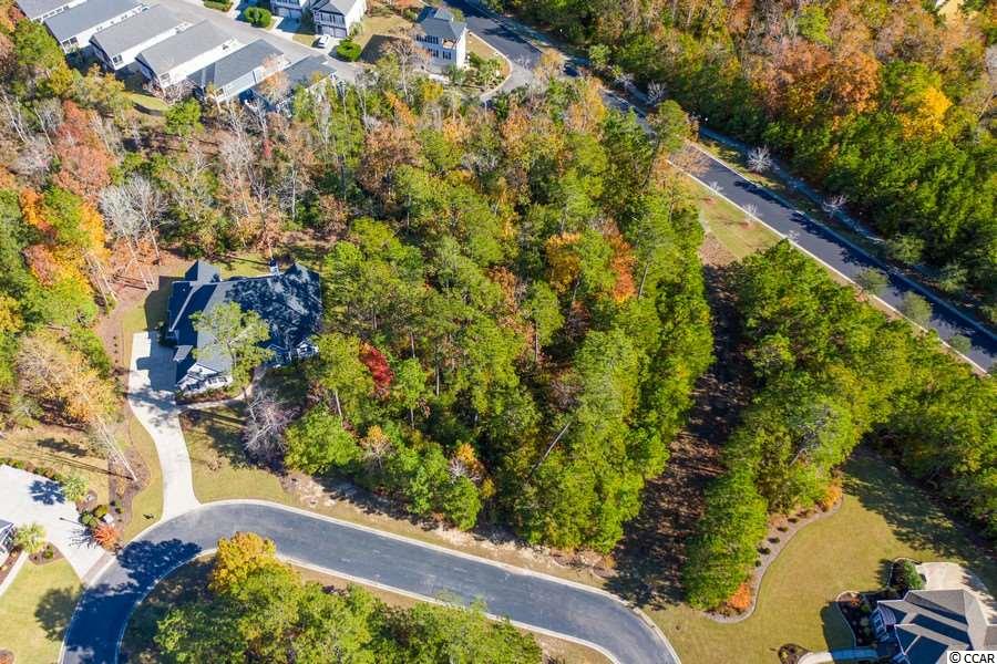 19 Cane Break Way Murrells Inlet, SC 29576 - Photo 9 of 24 Gallery Image 9