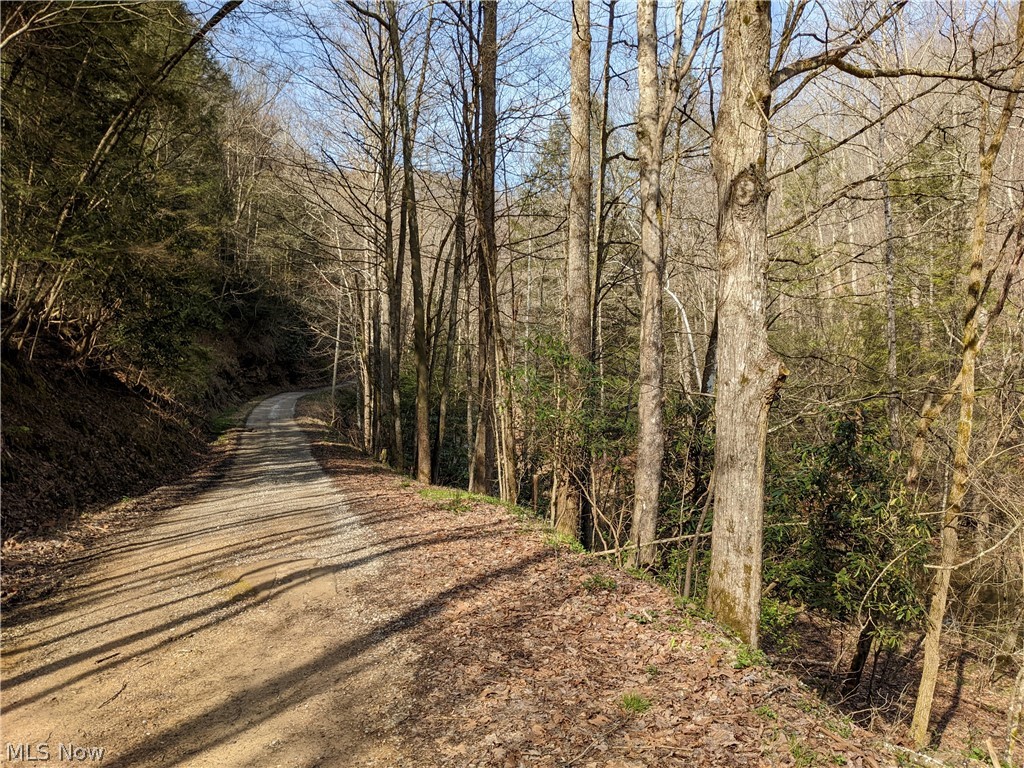 1487 Groves Creek Road Duck, WV 25063 - Photo 31 of 33 ROAD DRIVING INTO PROPERTY