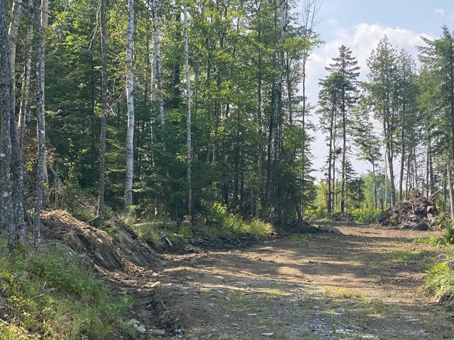 $115,000 | 7 Tumbledown Lane, Greenville, ME 04441