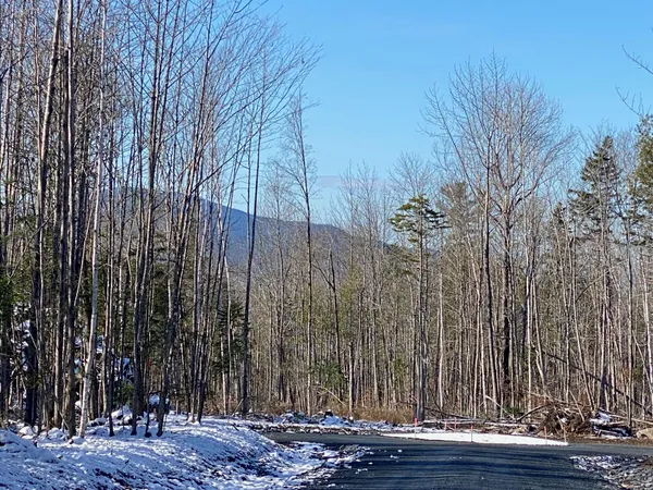 $115,000 | 7 Tumbledown Lane, Greenville, ME 04441