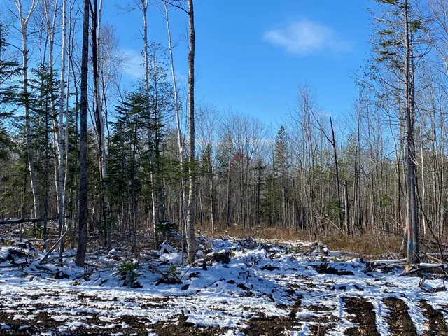 $115,000 | 7 Tumbledown Lane, Greenville, ME 04441